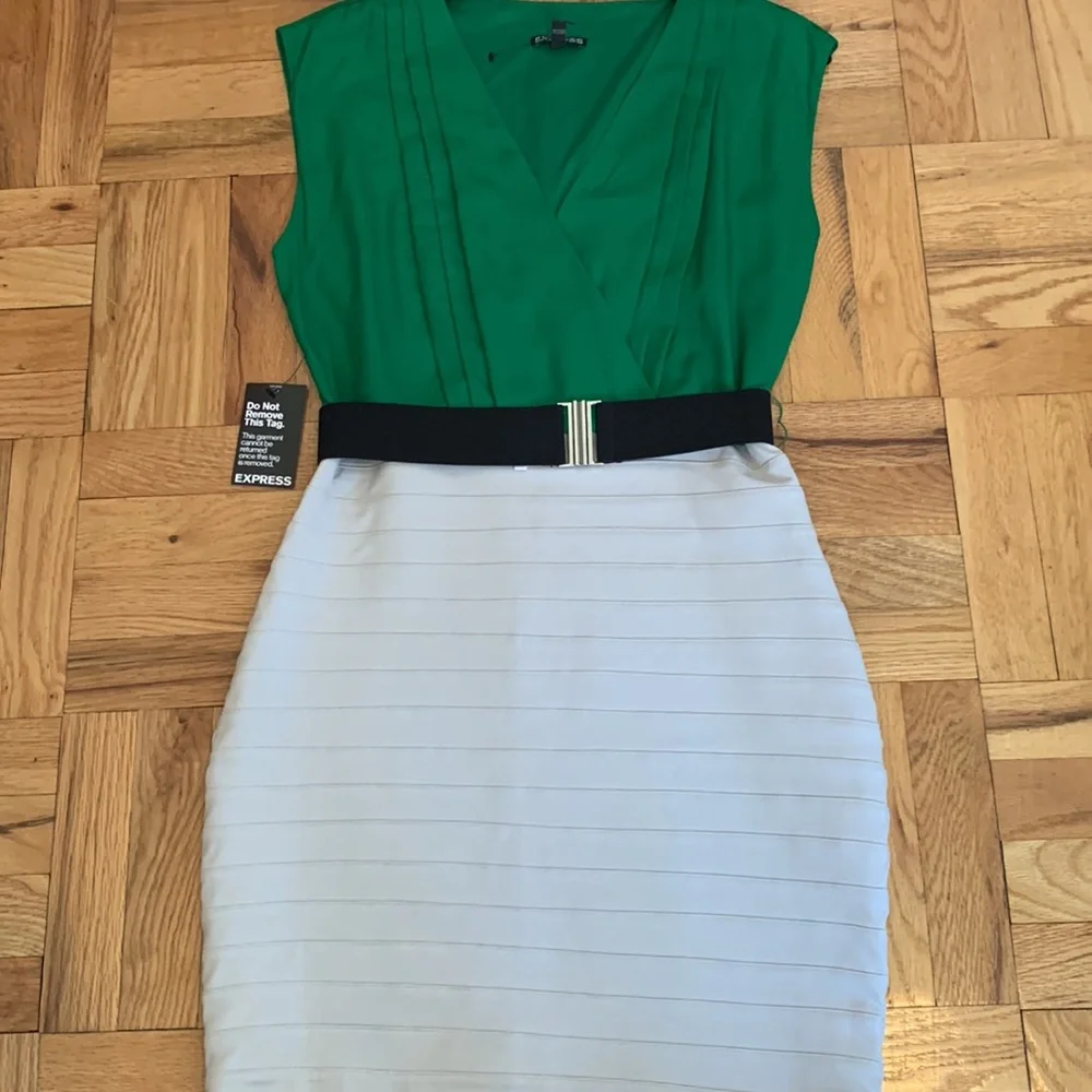 COPY - EXPRESS NEW Fitted Dress - Picture 13 of 14